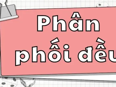 Phân phối đều rời rạc và liên tục - Định nghĩa, tính chất và ví dụ