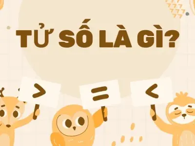 Tử số là gì? So sánh từ số và mẫu số