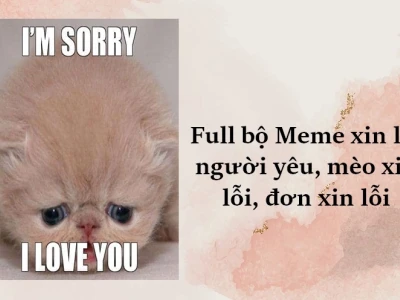 541+ Meme Xin Lỗi Hài Hước Cho Tình Huống Dở Khóc Dở Cười Năm 2026