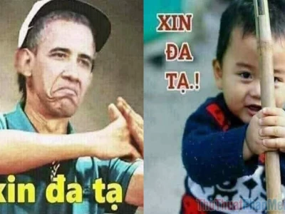Bộ Sưu Tập Đa Tạ Meme: Cảm Ơn Kiểu Lầy Lội