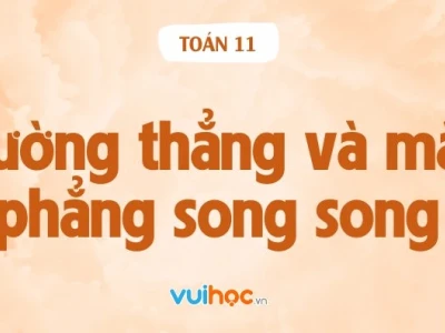 Các yếu tố xác định mặt phẳng duy nhất trong không gian tọa độ