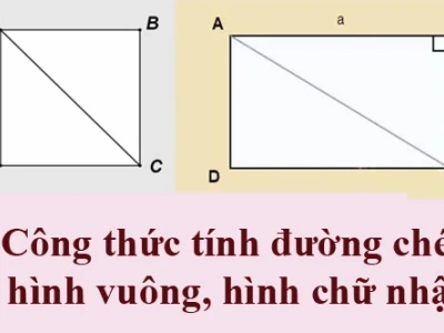 Công thức tính đường chéo hình vuông và hình chữ nhật chính xác nhất