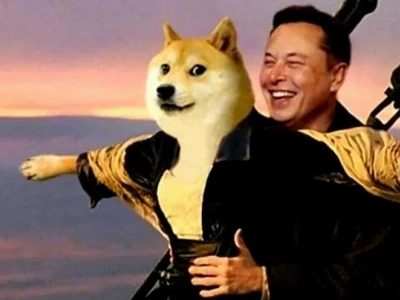 Hình nền điện thoại meme hài: Cập nhật những mẫu độc đáo nhất 2026