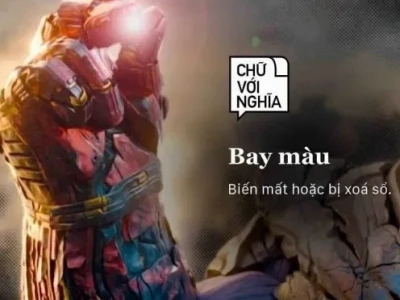 Khám phá các meme bay màu độc đáo thể hiện cảm xúc bị loại khỏi cuộc chơi