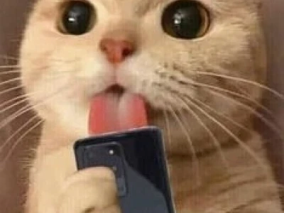 Khám phá kho meme liếm hài hước, thể hiện sự thèm muốn tột độ