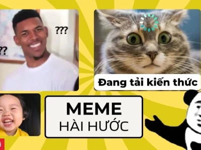 Khám phá thế giới meme ảnh vẽ hài hước và những điều thú vị