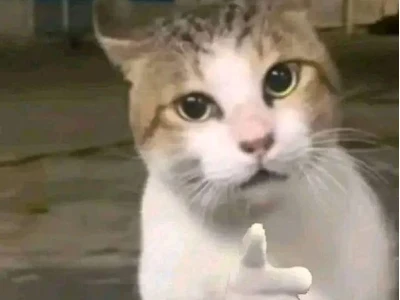 Khám Phá Thế Giới Meme Giơ Tay: Biểu Cảm Hài Hước Vô Đối