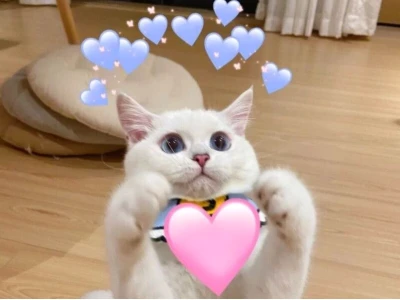 Ngập Tràn Meme Tình Yêu Dễ Thương và Lãng Mạn Cho Năm 2026