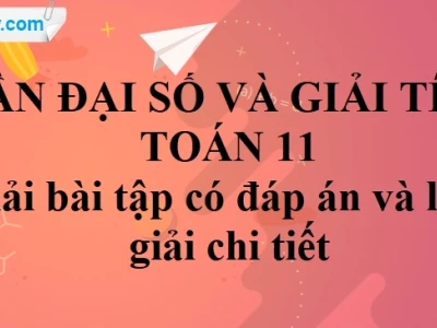 Sách Giáo Khoa Đại Số và Giải Tích 11 Cơ Bản: Nội dung và Cách khai thác hiệu quả