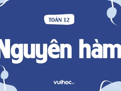 Tổng Hợp Công Thức Giải Tích 1 Toàn Diện Nhất Cho Sinh Viên Năm 2026