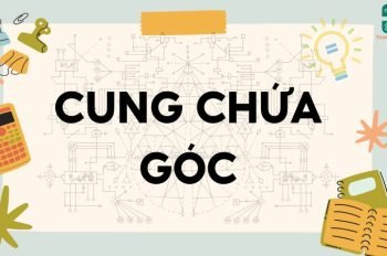 Lý thuyết về cung chứa góc – Toán lớp 9