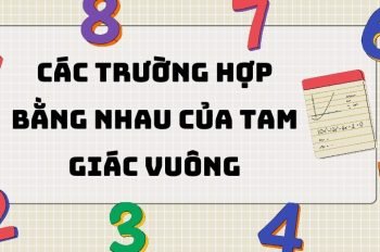 Các trường hợp bằng nhau của tam giác vuông – Các dạng bài tập phổ biến nhất