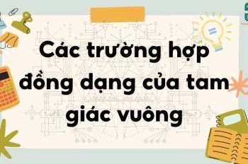 Lý thuyết Các trường hợp đồng dạng của tam giác vuông