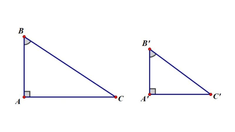 các trường hợp đồng dạng của tam giác vuông