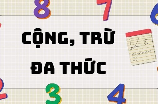 Lý thuyết cộng trừ đa thức và bài tập có lời giải chi tiết