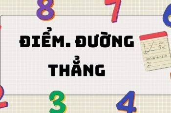 Tổng hợp kiến thức về điểm và đường thẳng lớp 6