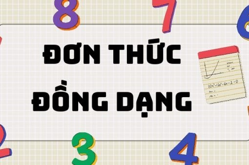 Tổng hợp kiến thức quan trọng bài đơn thức đồng dạng