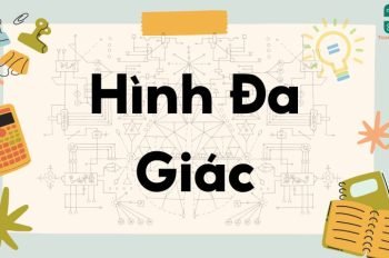 Lý thuyết về hình đa giác – Toán lớp 8