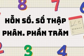 Tổng hợp kiến thức hỗn số số thập phân và phần trăm