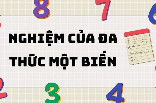 Lý thuyết quan trọng và cách tìm nghiệm của đa thức một biến