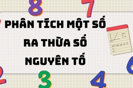 Lý thuyết quan trọng bài: Phân tích một số ra thừa số nguyên tố