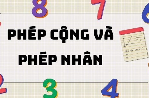 Tổng hợp kiến thức về phép cộng và phép nhân lớp 6