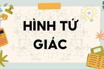 Lý thuyết hình tứ giác – Toán lớp 8