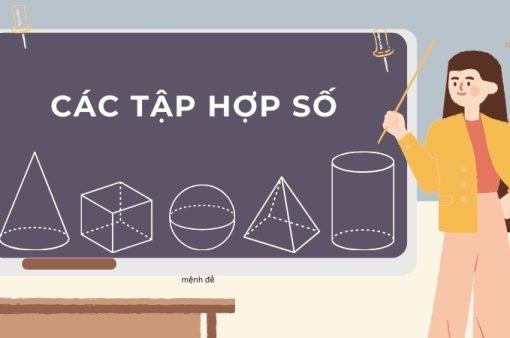 Hướng dẫn toàn diện về các tập hợp số từ cơ bản đến nâng cao