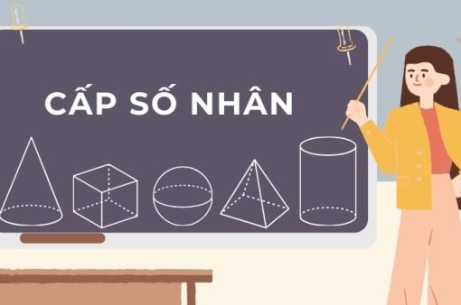 Cấp số nhân – Tổng hợp các công thức cấp số nhân quan trọng