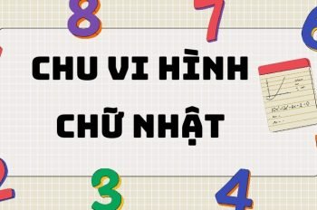 Lý thuyết và công thức tính chu vi hình chữ nhật lớp 3