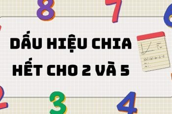 Tổng hợp kiến thức: Dấu hiệu chia hết cho 2 và 5