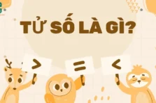 Tử số là gì? So sánh từ số và mẫu số