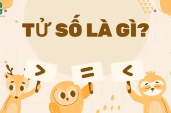 Tử số là gì? So sánh từ số và mẫu số