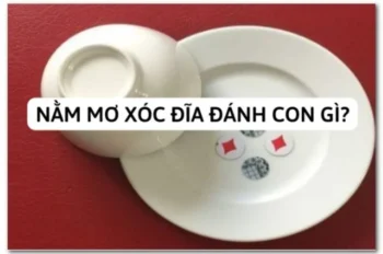 Giải mã giấc mơ: Mơ đánh xóc đĩa đánh con gì để trúng lớn?