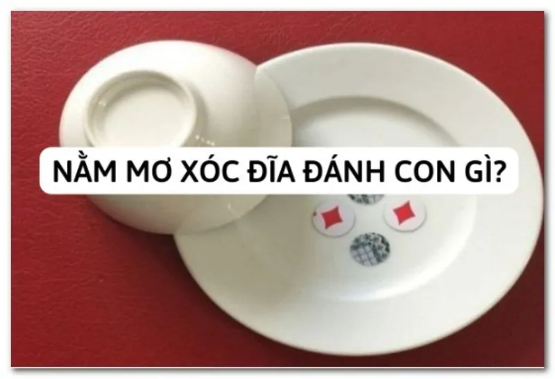 Tìm hiểu mơ đánh xóc đĩa đánh con gì chuẩn xác